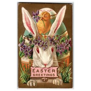 Antique 1909 Embossed Easter Bunny Chick Violets Postcard Easter Greetings